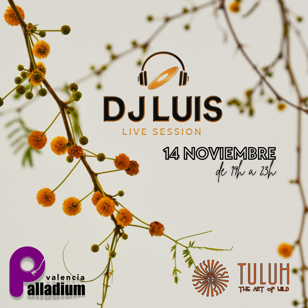 PALLADIUM VALENCIA 14 NOVIEMBRE 2026